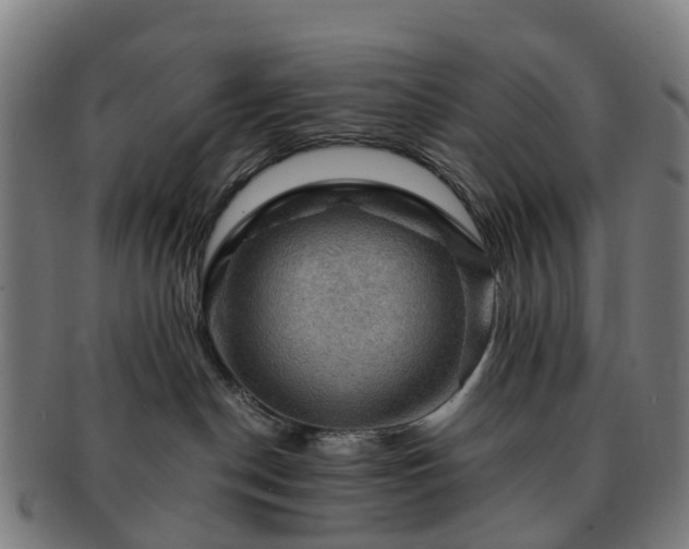 X0000091710190200708311124