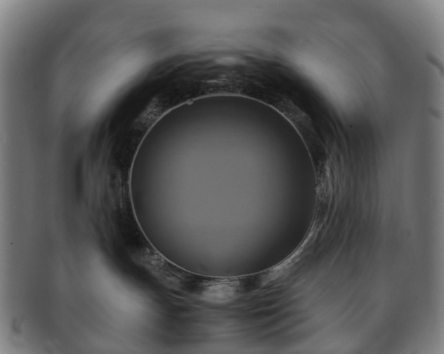 X0000091710191200708311124