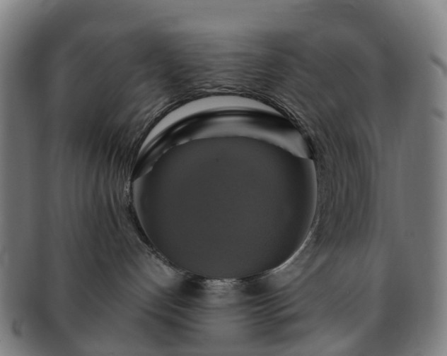 X0000091710192200708311124