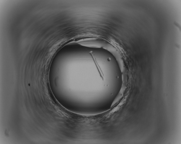 X0000091710193200708311123