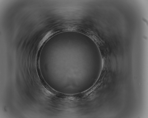 X0000091710195200708311123