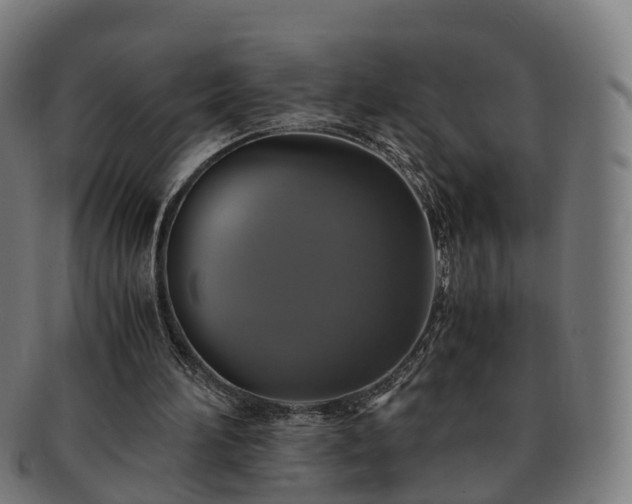 X0000091710196200708311123