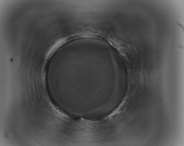 X0000091710197200708311123