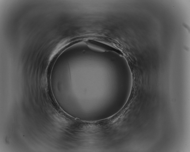 X0000091710198200708311123