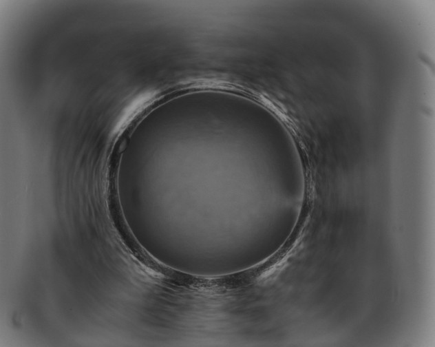 X0000091710199200708311123