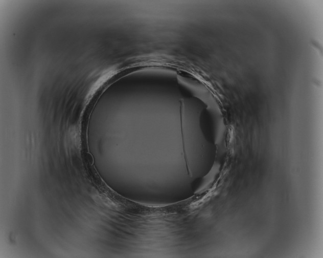 X0000091710200200708311123