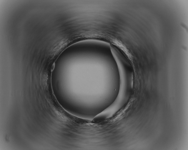 X0000091710201200708311123