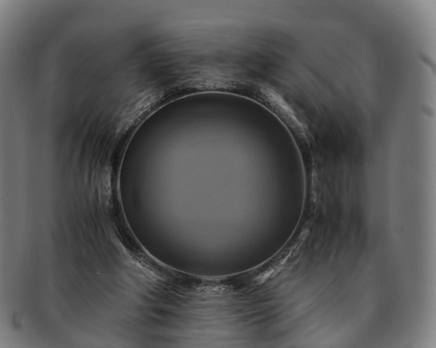 X0000091710202200708311123