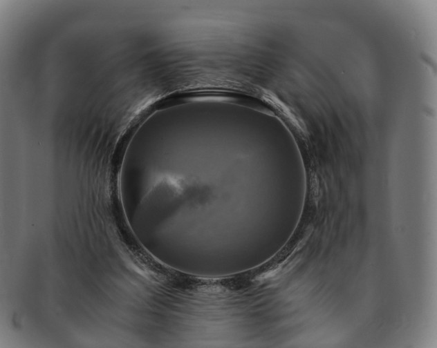 X0000091710203200708311123