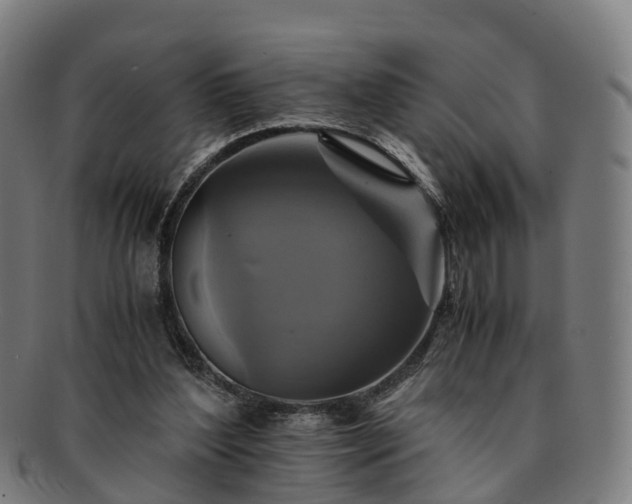 X0000091710204200708311123