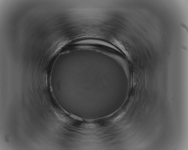 X0000091710205200708311123