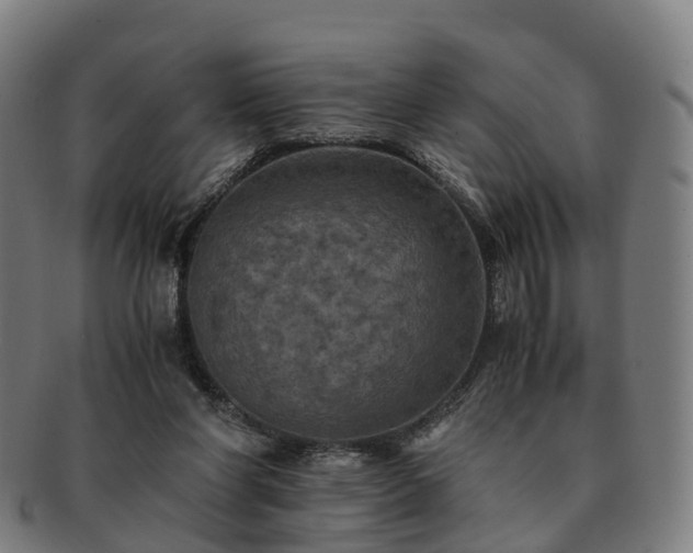 X0000091710206200708311123