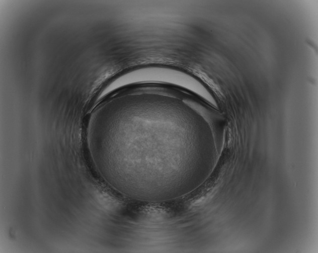 X0000091710207200708311123