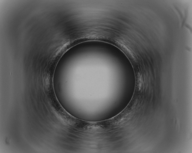 X0000091710208200708311123