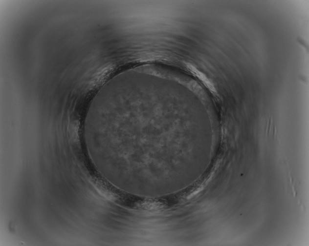 X0000091710209200708311123