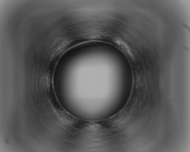 X0000091710210200708311123