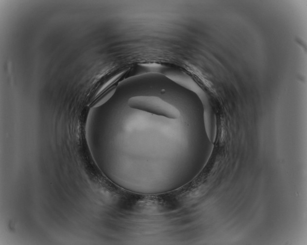 X0000091710211200708311123