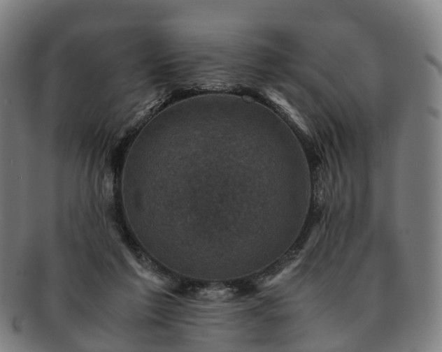 X0000091710213200708311123