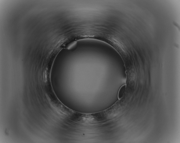 X0000091710214200708311123