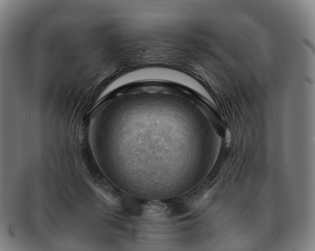 X0000091710215200708311123