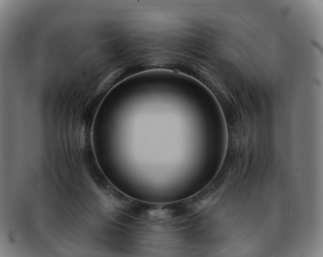 X0000091710216200708311123