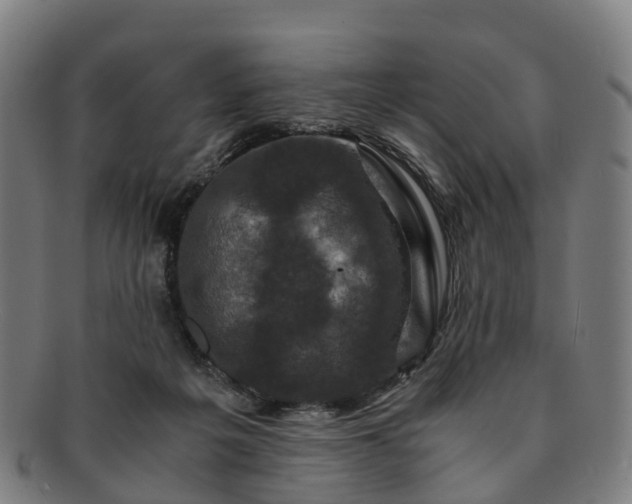 X0000091710217200708311123