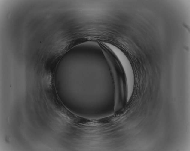 X0000091710219200708311123