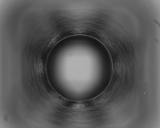 X0000091710220200708311123