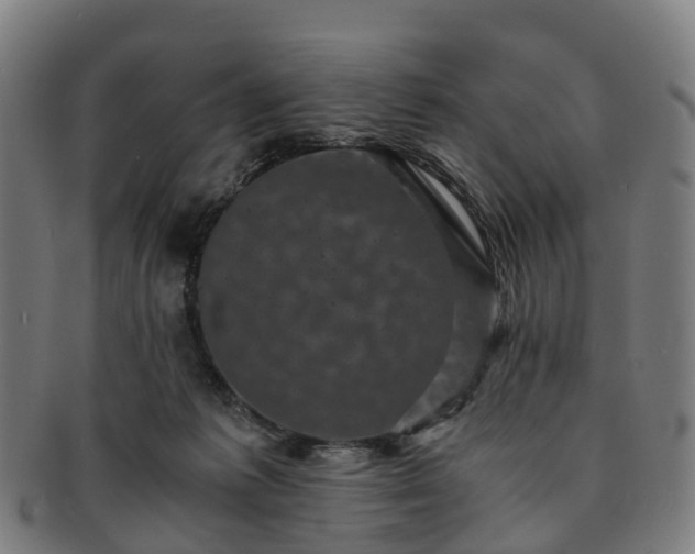 X0000091710221200708311123