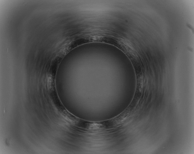 X0000091710222200708311123