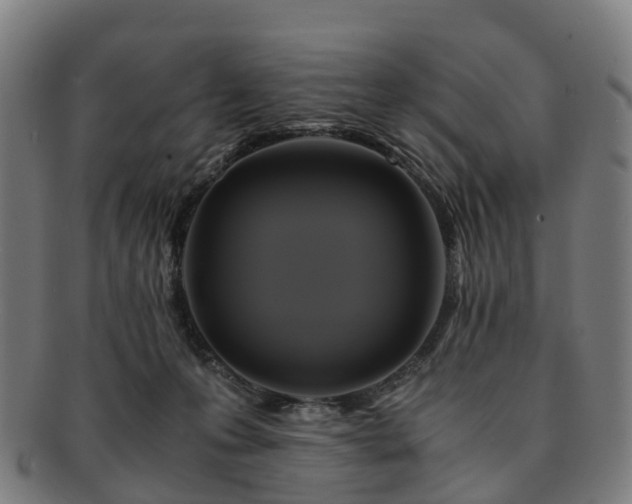 X0000091710223200708311123