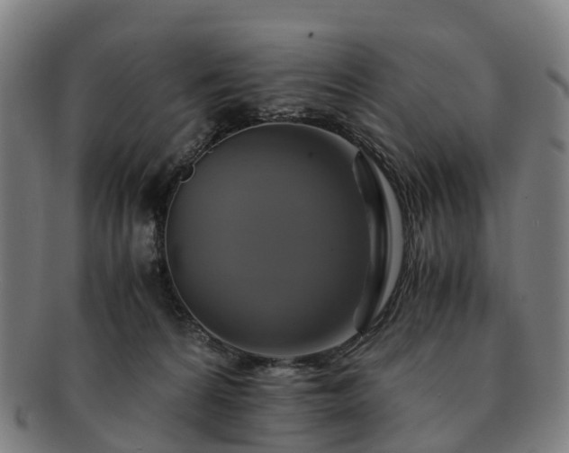 X0000091710224200708311123