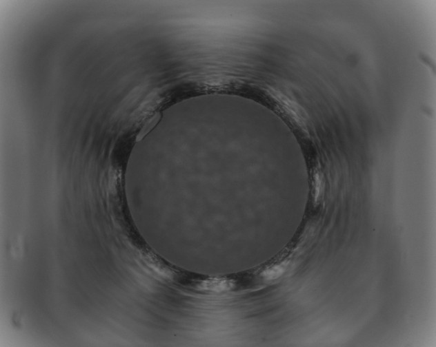 X0000091710225200708311123