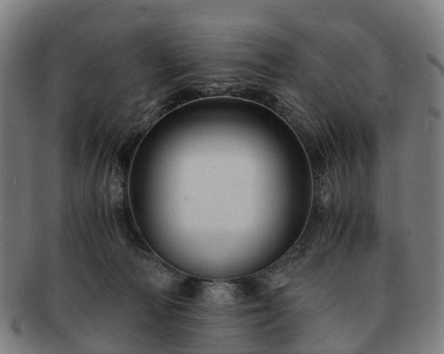 X0000091710226200708311123