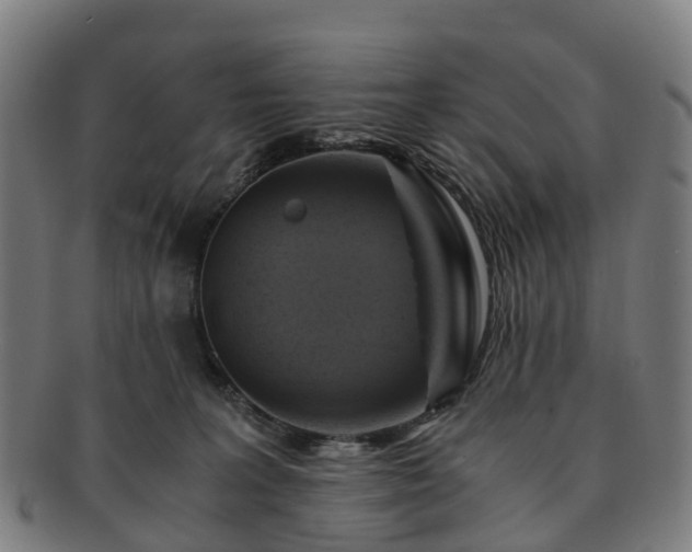 X0000091710227200708311123