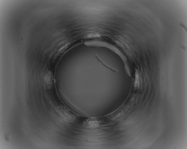 X0000091710228200708311123