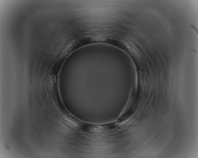 X0000091710229200708311123