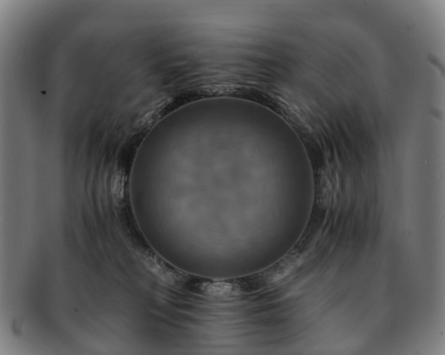 X0000091710230200708311123