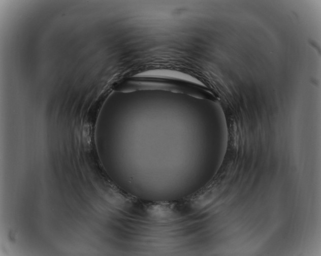 X0000091710232200708311123