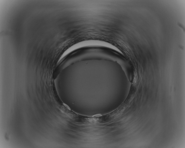 X0000091710233200708311122