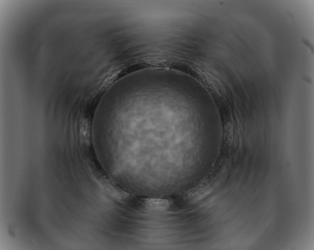 X0000091710234200708311122