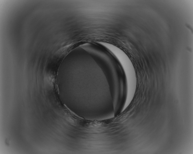 X0000091710235200708311122