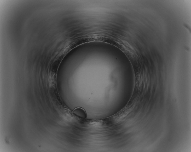 X0000091710236200708311122