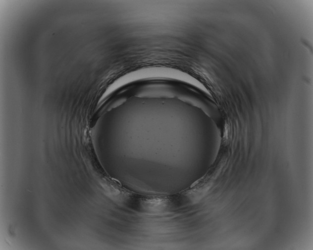 X0000091710237200708311122