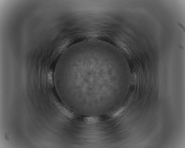 X0000091710238200708311122