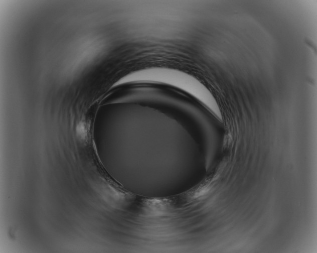 X0000091710239200708311122