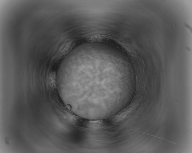 X0000091710240200708311122