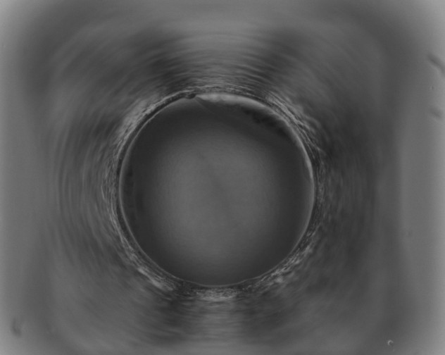 X0000091710241200708311122