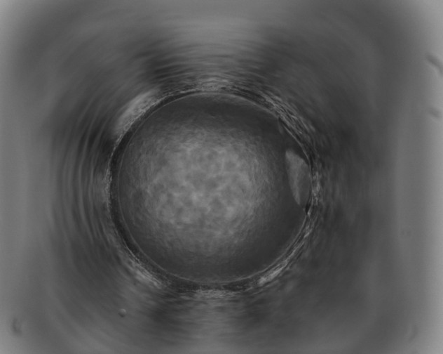 X0000091710242200708311122