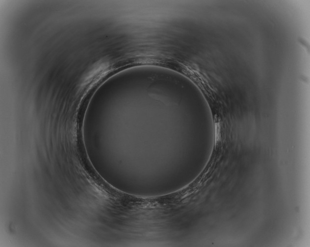 X0000091710243200708311122